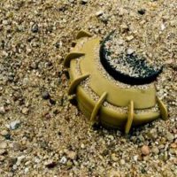 RAPPORT 2017 – Les mines anti-personnel toujours dangereuses : Le nombre de victimes en hausse